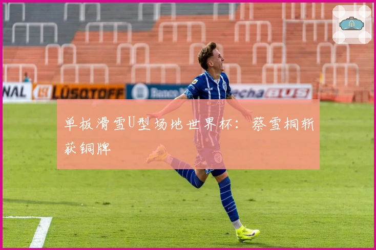 单板滑雪U型场地世界杯：蔡雪桐斩获铜牌